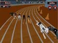 Trò chơi Crazyl Dog Racing Fever