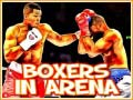 Trò chơi Boxers in Arena