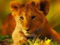 Trò chơi Wild Baby Animals Jigsaw