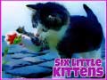 Trò chơi Six Little Kittens