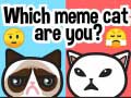 Trò chơi Which Meme Cat Are You?