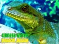 Trò chơi Chinese Water Dragon Jigsaw