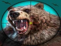 Trò chơi Wild Bear Hunting