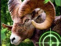 Trò chơi Crazy Goat Hunter 2020