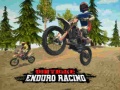 Trò chơi Dirt Bike Enduro Racing