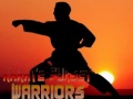 Trò chơi Karate Sunset Warriors