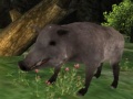 Trò chơi Wild boar Hunting