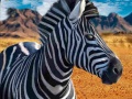 Trò chơi Zebra Hunter
