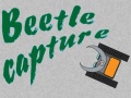Trò chơi Beetle Capture