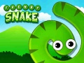 Trò chơi Frenzy Snake
