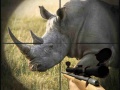 Trò chơi Wild Rhino Hunter