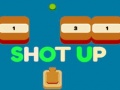 Trò chơi Shot Up