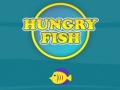 Trò chơi Hungry Fish