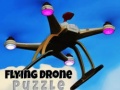 Trò chơi Flying Drone Puzzle