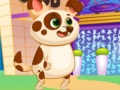Trò chơi Lovely Virtual Dog
