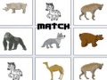 Trò chơi Match