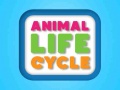 Trò chơi Animal Life Cycle