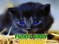 Trò chơi Funny Baby Animals