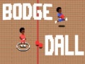 Trò chơi Bodge Dall