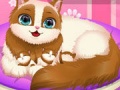 Trò chơi Cute Kitty Pregnant