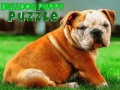 Trò chơi Bulldog Puppy Puzzle