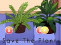 Trò chơi Save the Plants