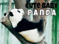 Trò chơi Cute Baby Panda