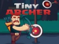 Trò chơi Tiny Archer