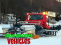 Trò chơi Snow Groomer Vehicles
