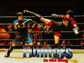 Trò chơi Fighters in the Ring