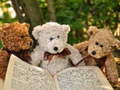 Trò chơi Cuddly Three Teddy Jigsaw