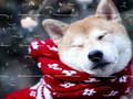 Trò chơi Winter Pets Puzzle