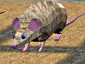 Trò chơi Mouse Race Islands