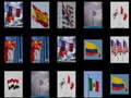 Trò chơi Memorize the flags