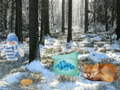 Trò chơi Winter Wonderland Forest Adventure