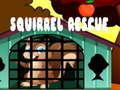Trò chơi Squirrel Rescue