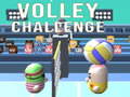 Trò chơi Volley Challenge