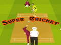 Trò chơi Super Cricket 