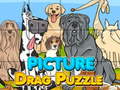 Trò chơi Picture Drag Puzzle
