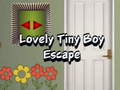 Trò chơi Lovely Tiny Boy Escape