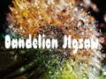 Trò chơi Dandelion Jigsaw