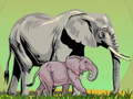 Trò chơi Wild Animals and Their Babies