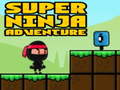 Trò chơi Super Adventure Ninja