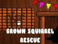 Trò chơi Brown Squirrel Rescue