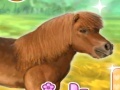 Trò chơi My Dear Pony