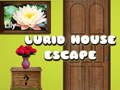 Trò chơi Lurid House Escape