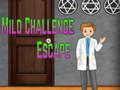 Trò chơi Amgel Mild Challenge Escape