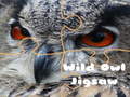 Trò chơi Wild owl Jigsaw