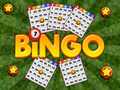 Trò chơi Bingo Revealed