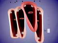 Trò chơi Funny Chorus